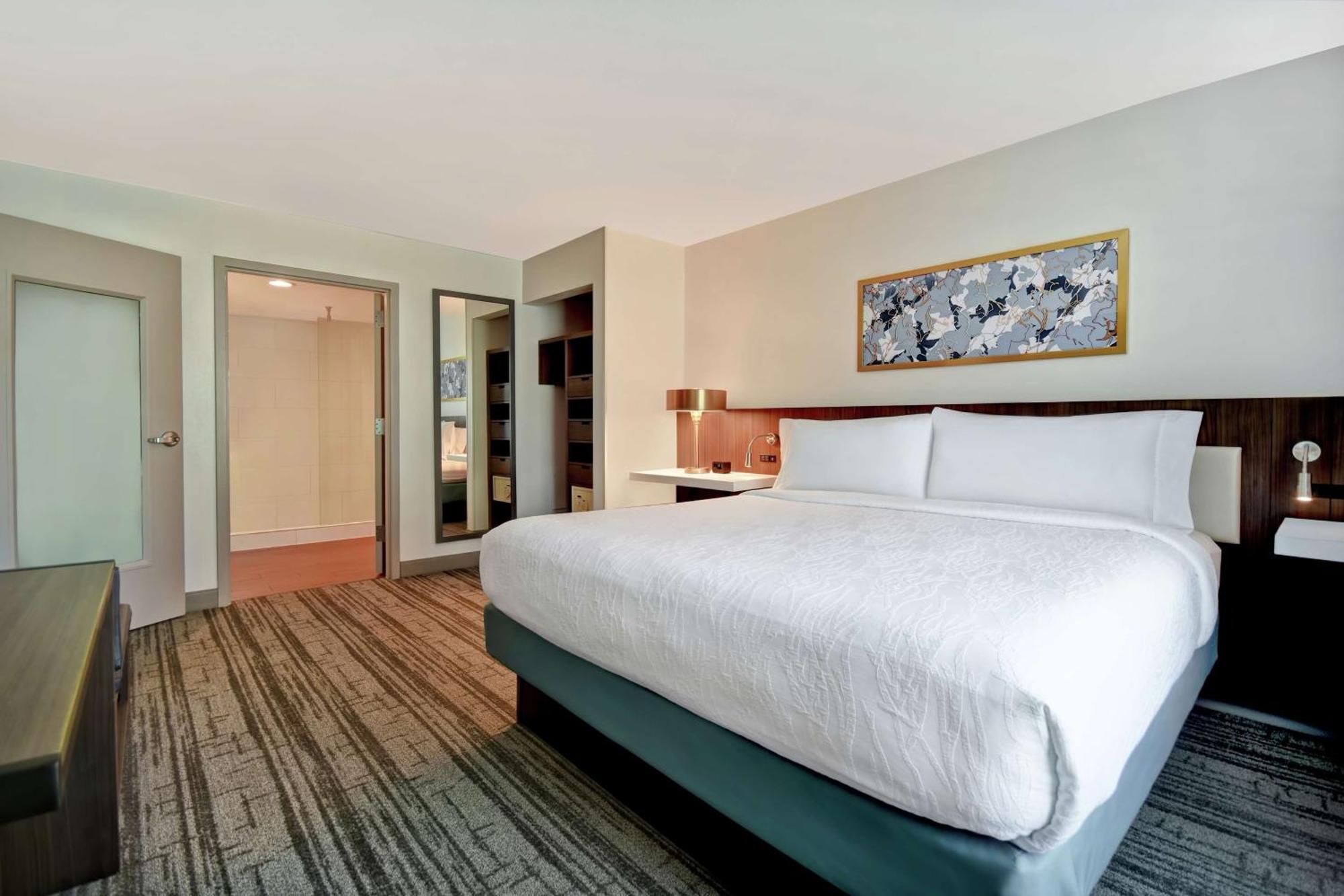 Hilton Garden Inn Houston/Galleria Area Екстер'єр фото