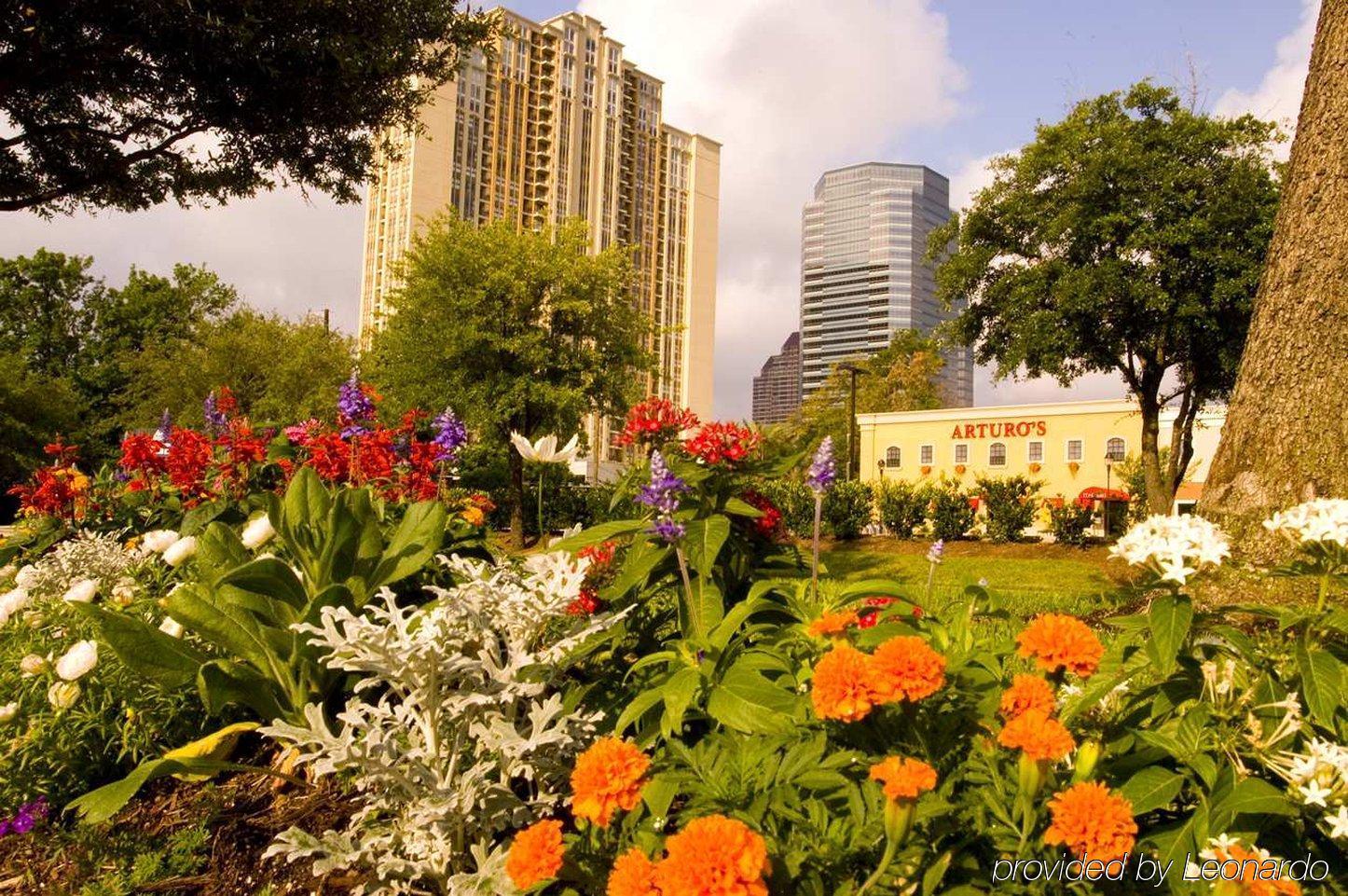 Hilton Garden Inn Houston/Galleria Area Зручності фото