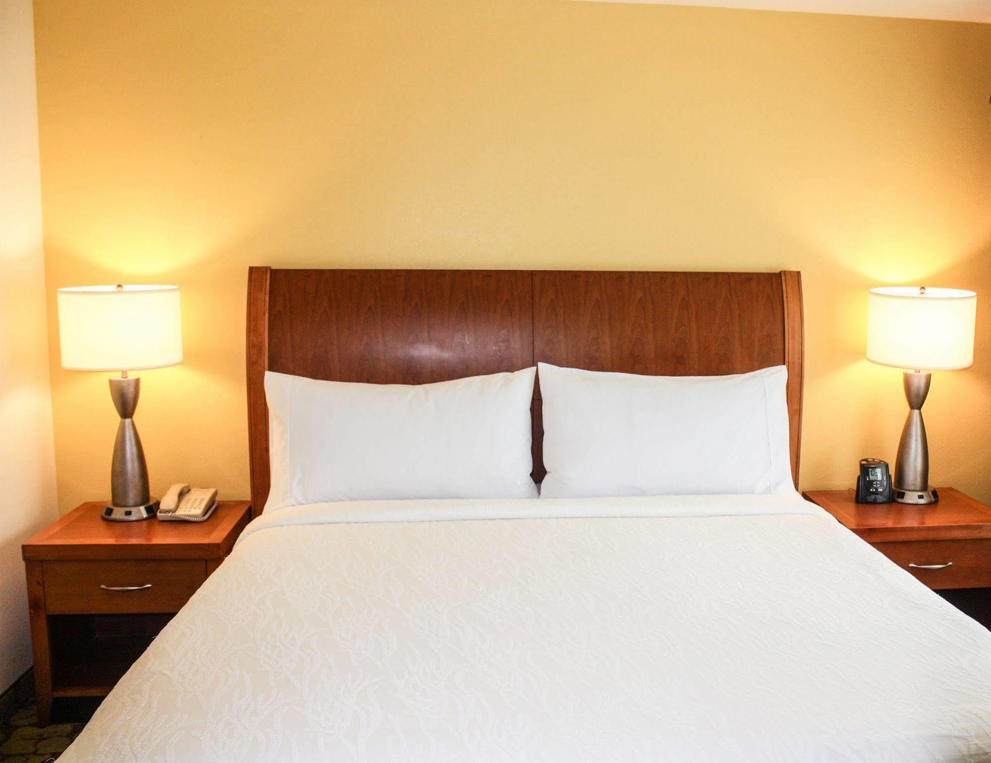 Hilton Garden Inn Houston/Galleria Area Екстер'єр фото