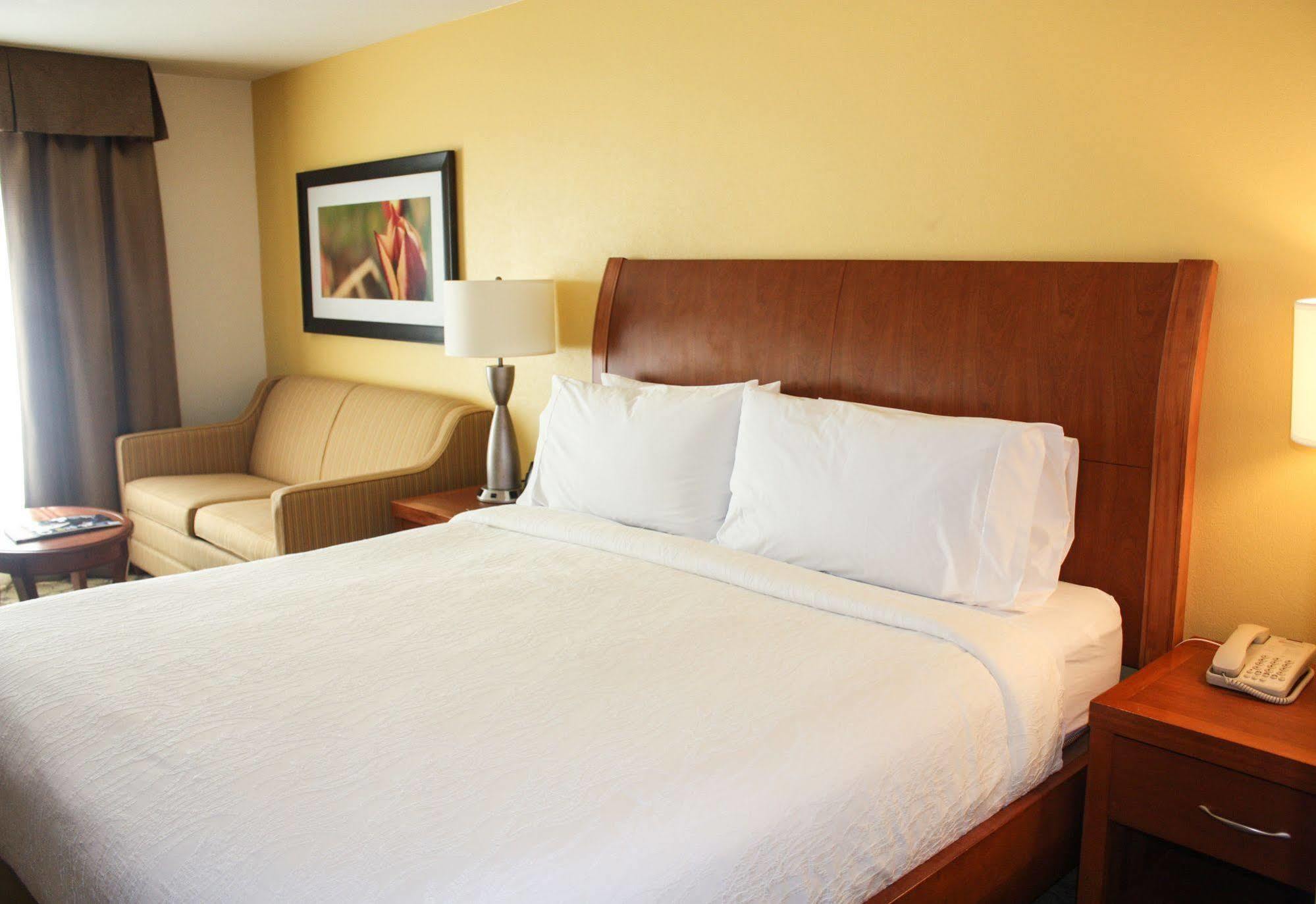 Hilton Garden Inn Houston/Galleria Area Екстер'єр фото