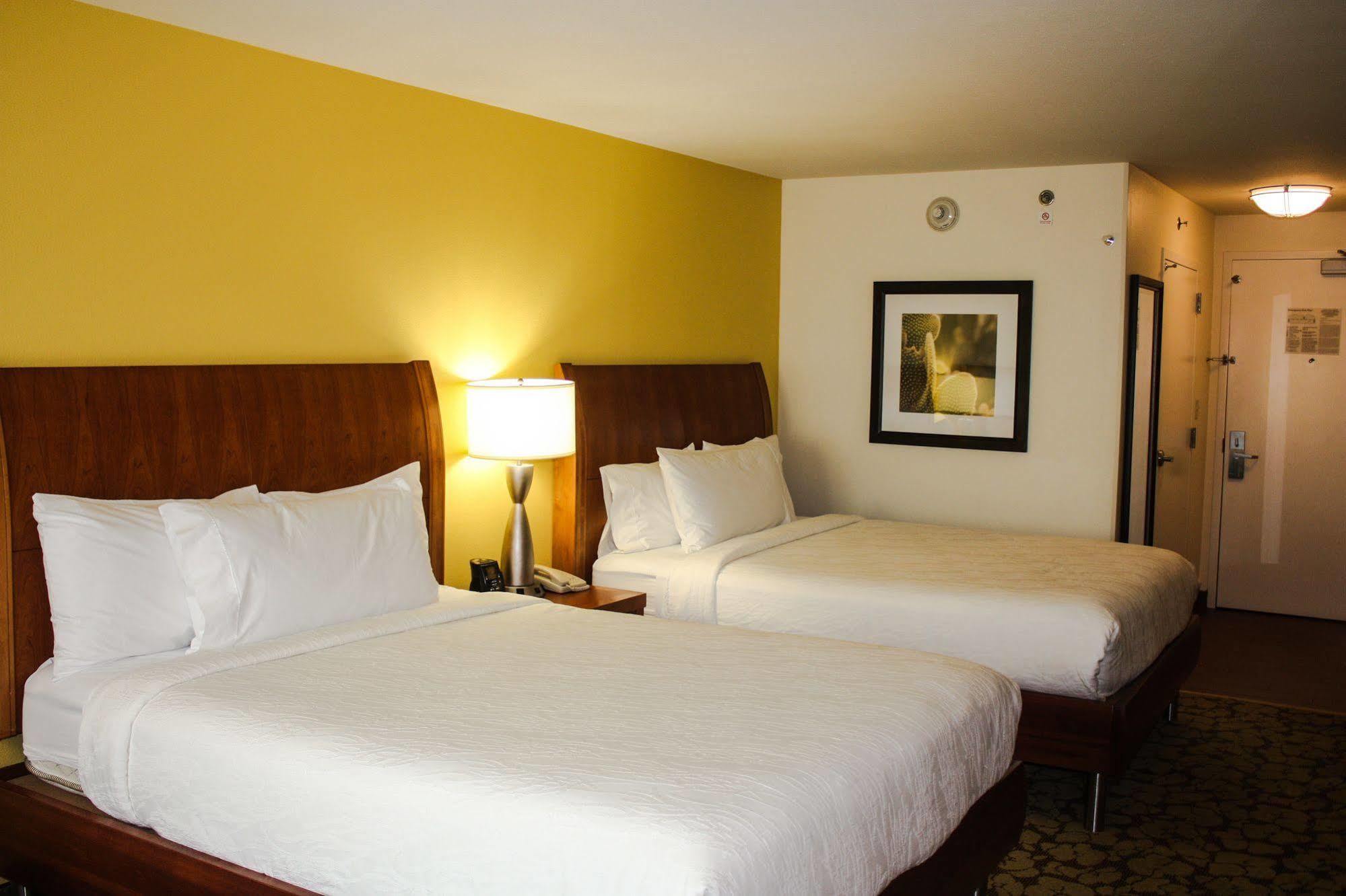 Hilton Garden Inn Houston/Galleria Area Екстер'єр фото
